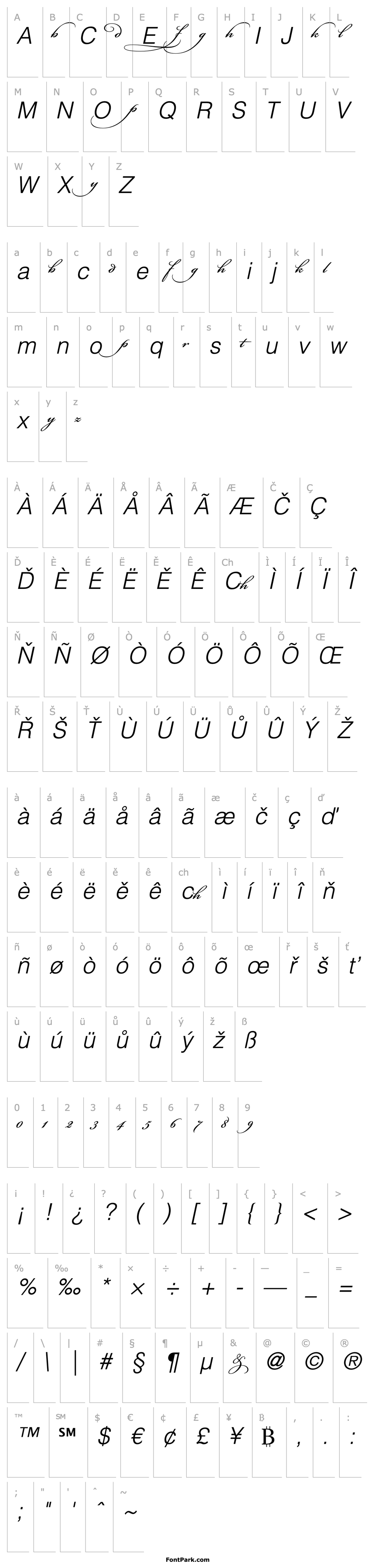 Přehled Bickham Script Alternates I