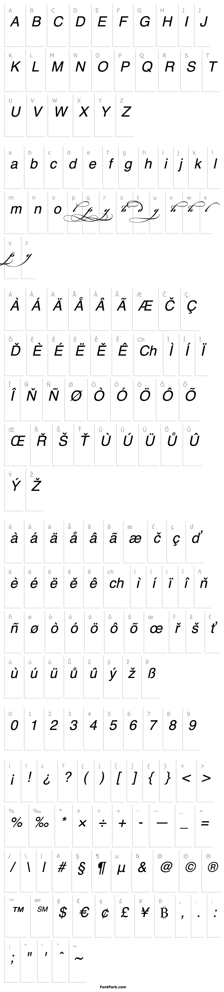 Overview Bickham Script MM Alt 2