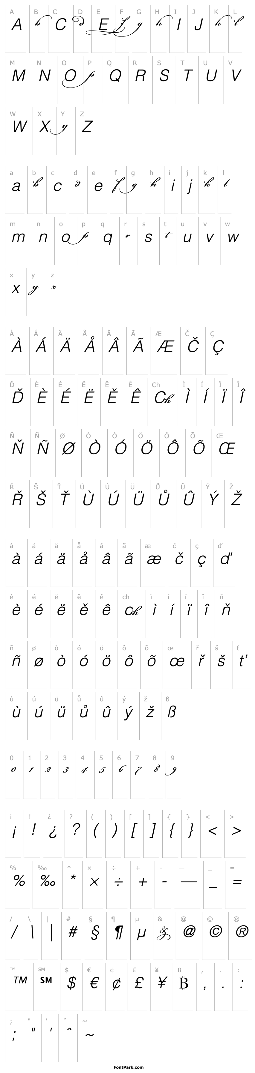 Přehled Bickham Script MM Alternates I_600 wt