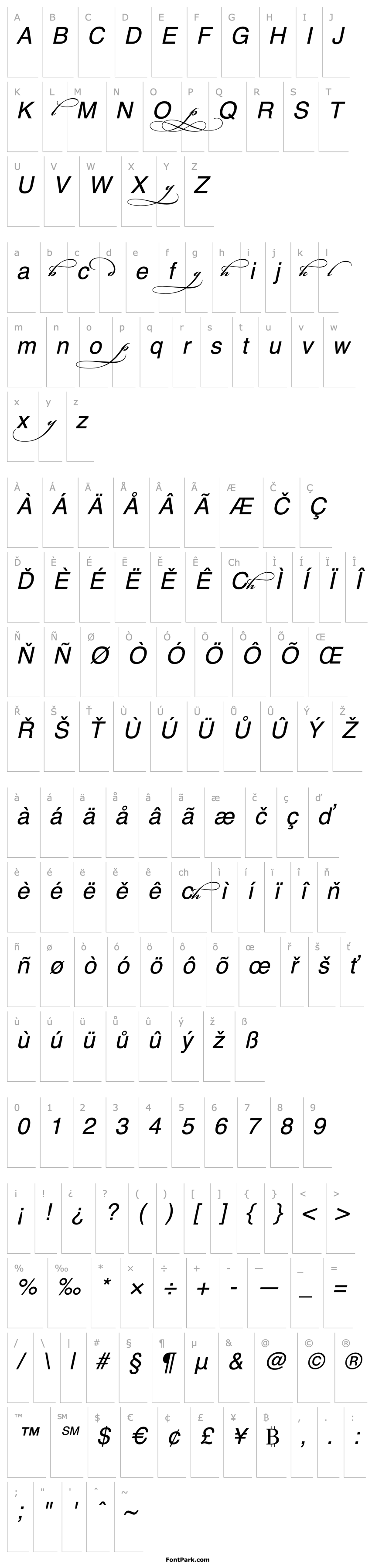 Přehled Bickham Script MM Alternates II_600 wt