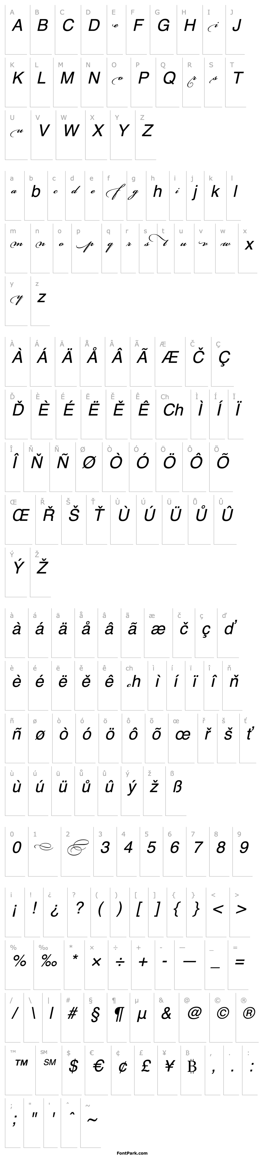 Overview Bickham Script MM Beginnings_600 wt