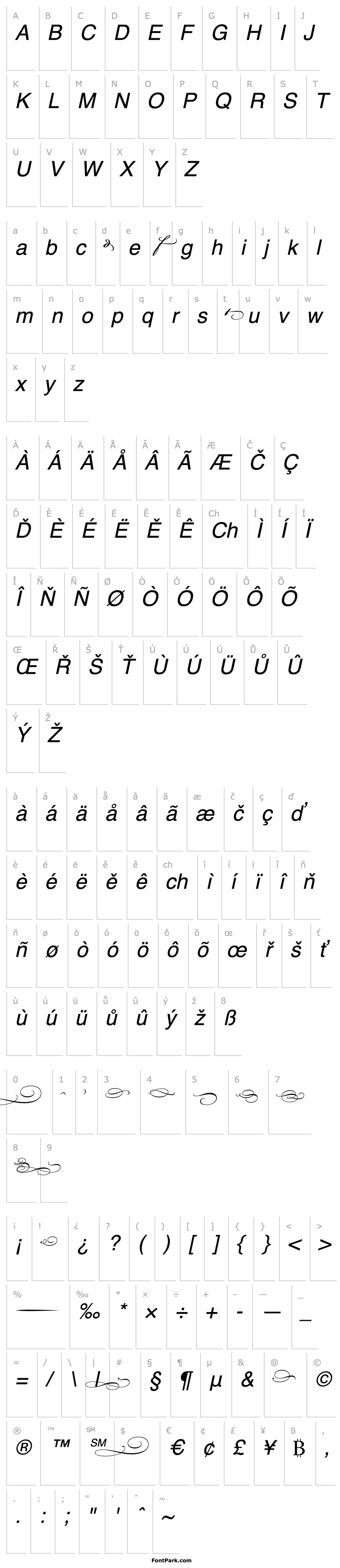 Přehled Bickham Script MM Endings_600 wt