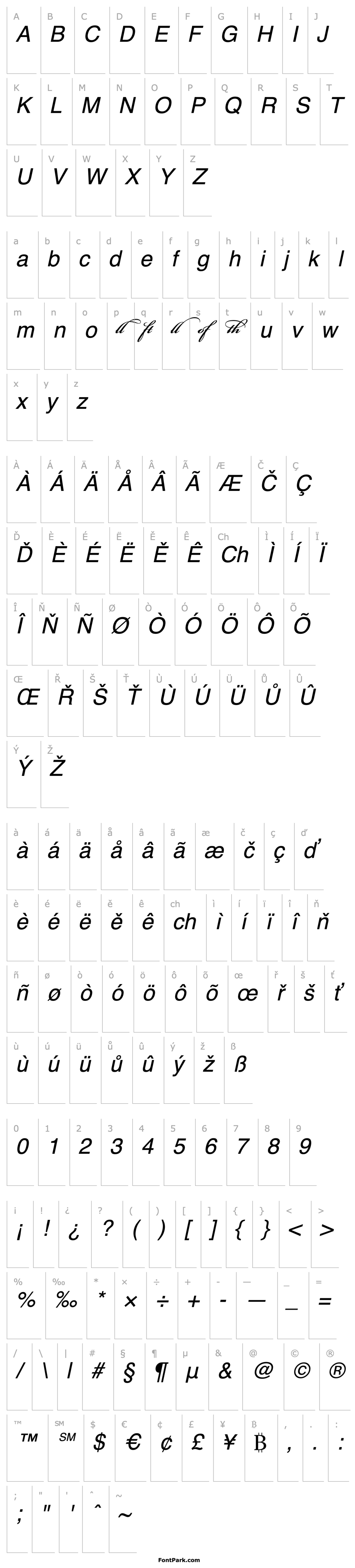 Přehled Bickham Script MM Lig