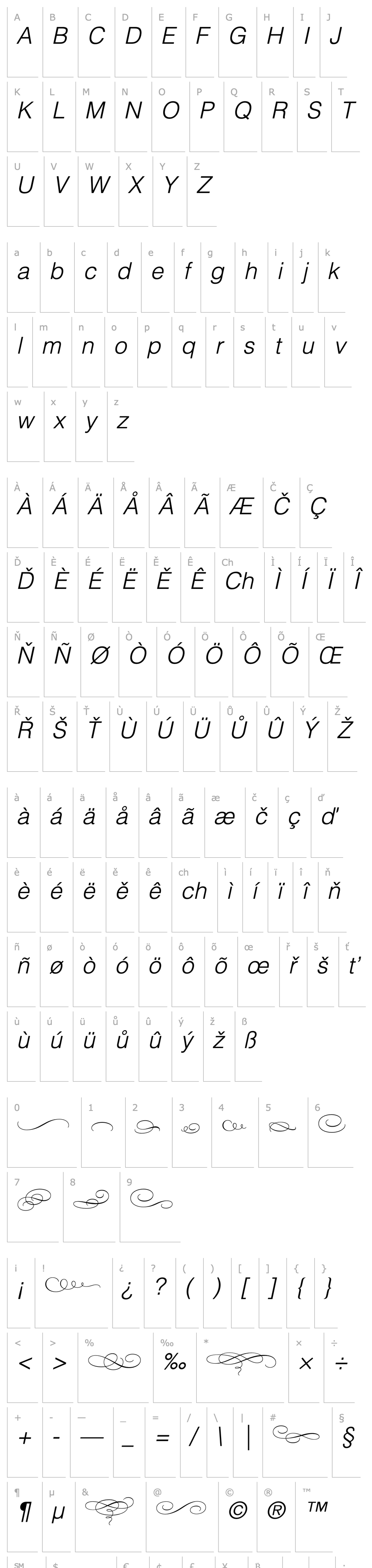 Přehled Bickham Script MM Ornaments