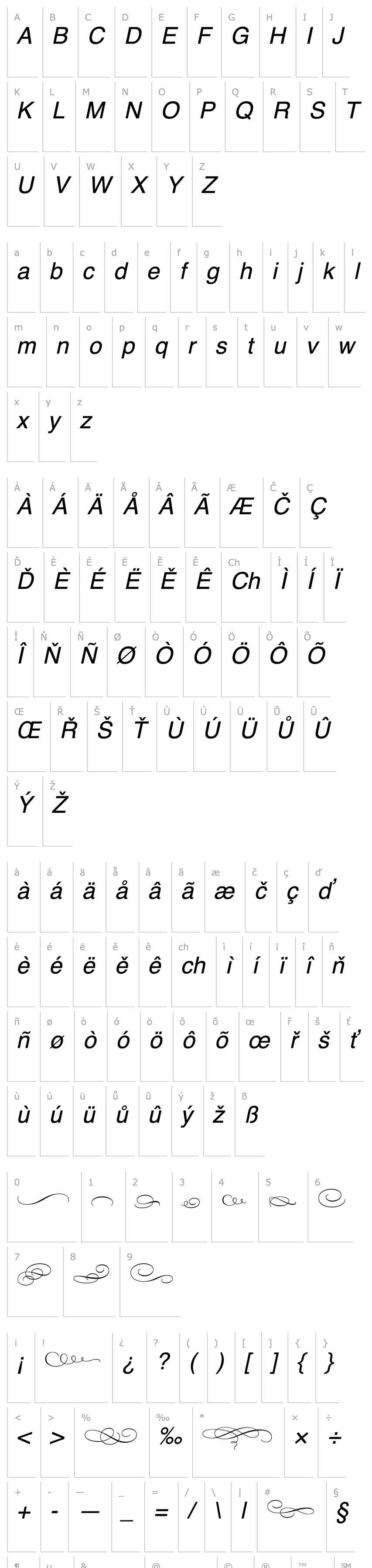 Přehled Bickham Script MM Ornaments_600 wt