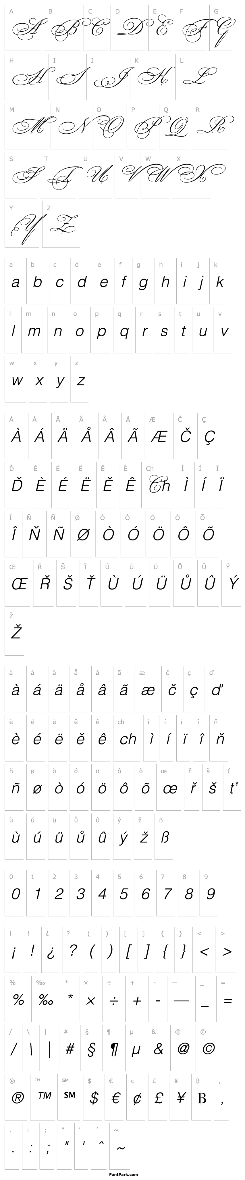 Přehled Bickham Script Swash Capitals