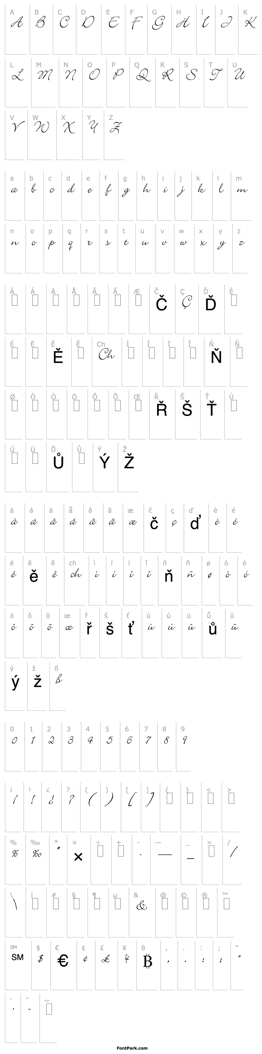 Přehled Bickley Script LET