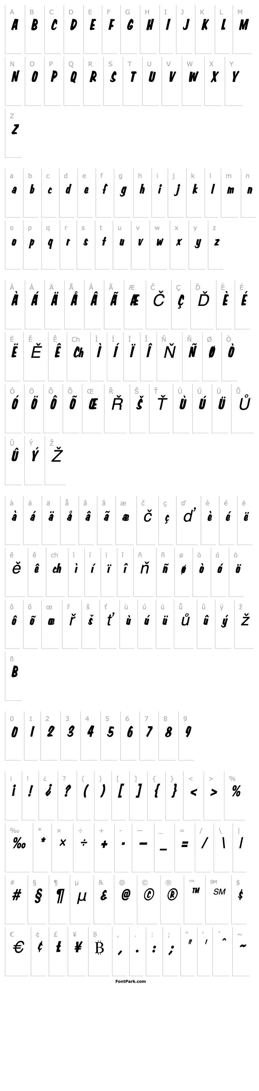 Overview Big Nib-Condensed Italic