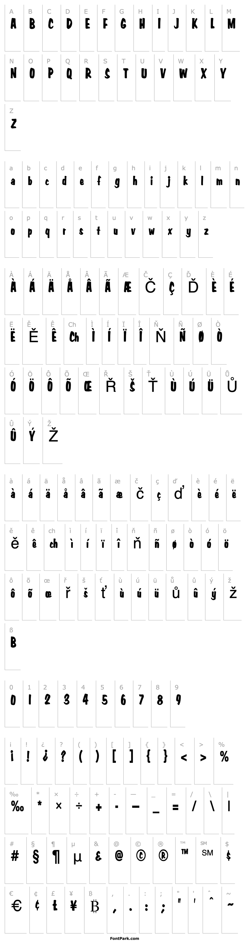 Overview Big Nib-Condensed Normal