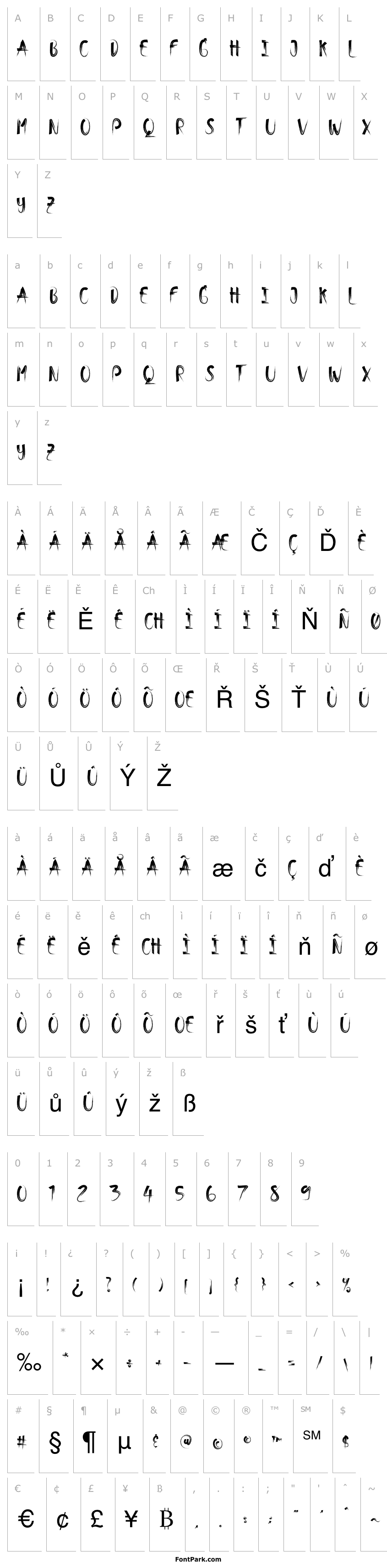 Přehled Bimber Brush Regular