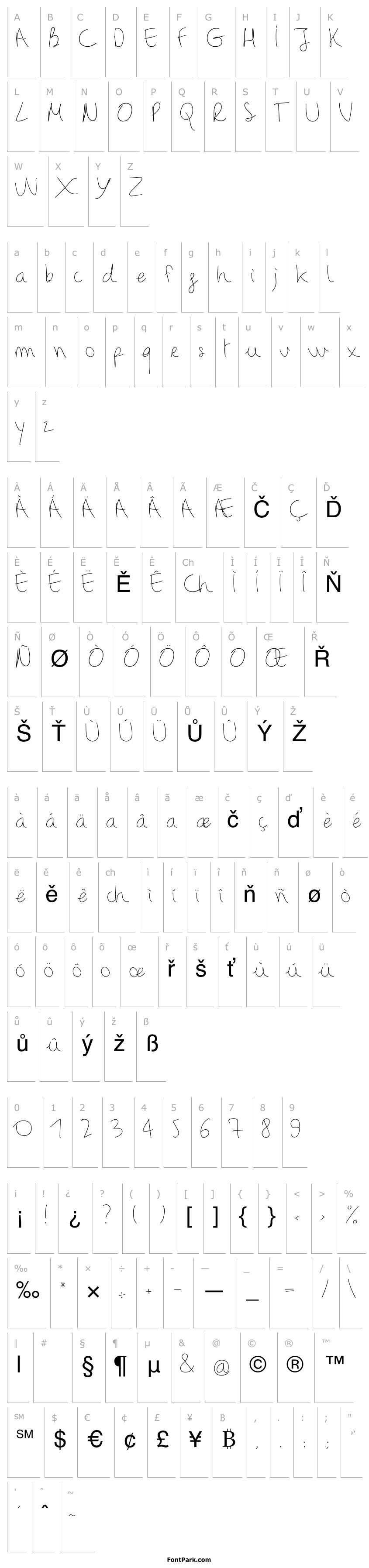 Overview BinetruyScript