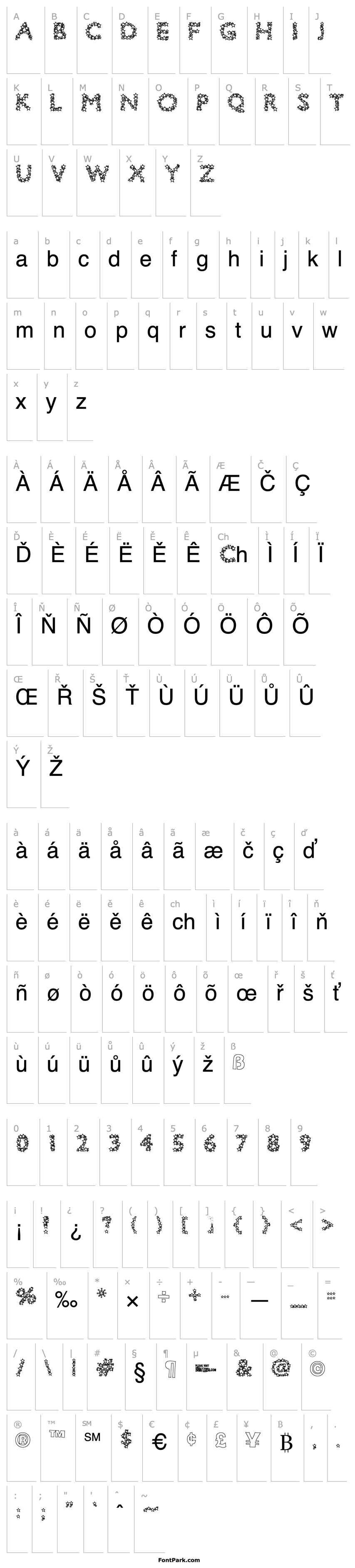 Overview Bingo Star