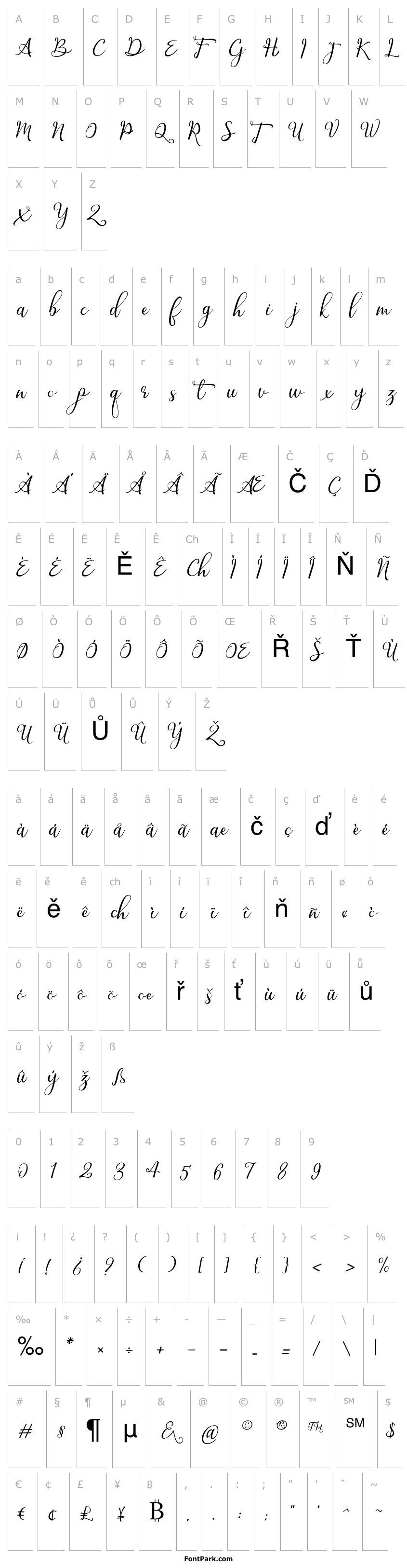 Overview Birthday-Regular