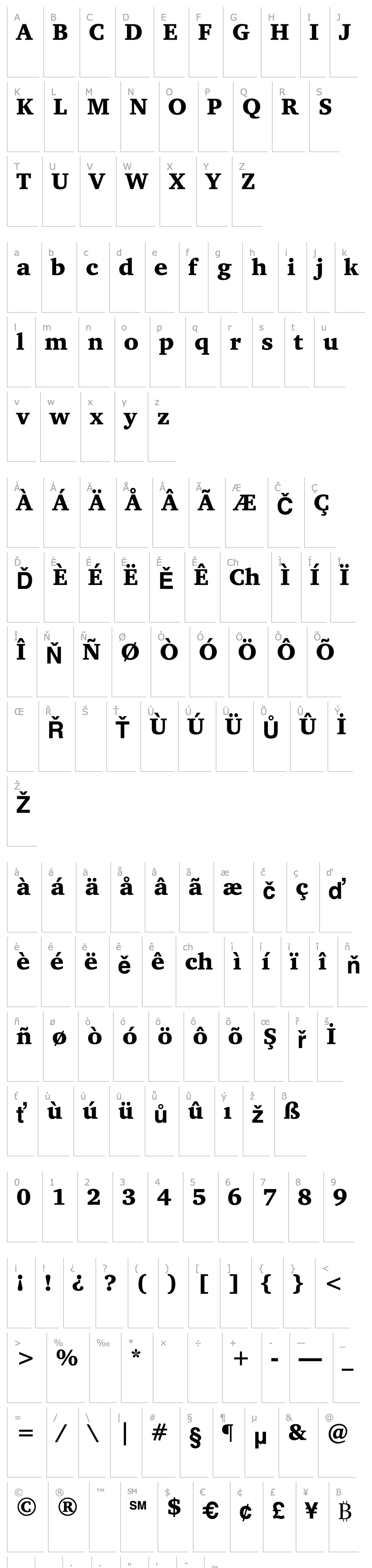 Přehled Bits_ Charter Bold