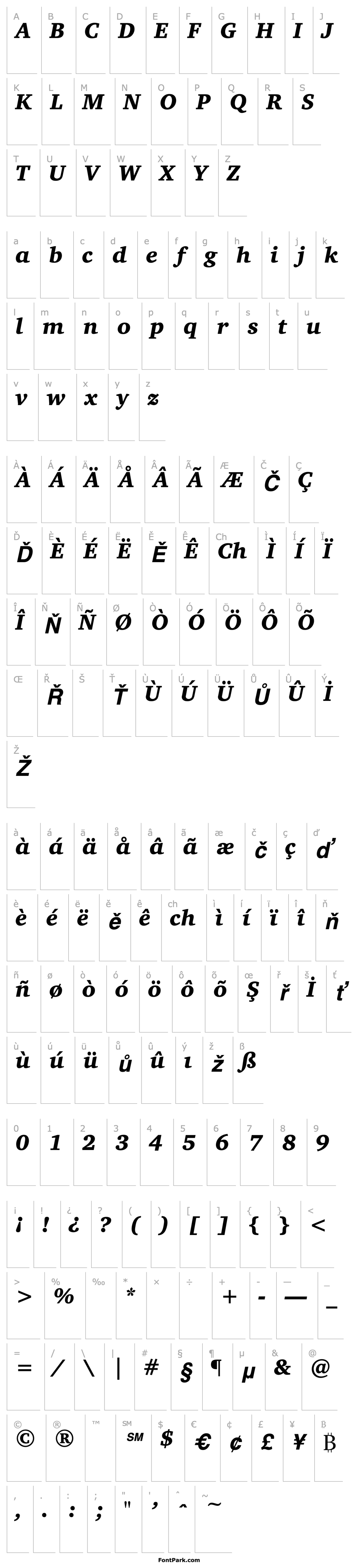 Overview Bits_ Charter Bold-Italic