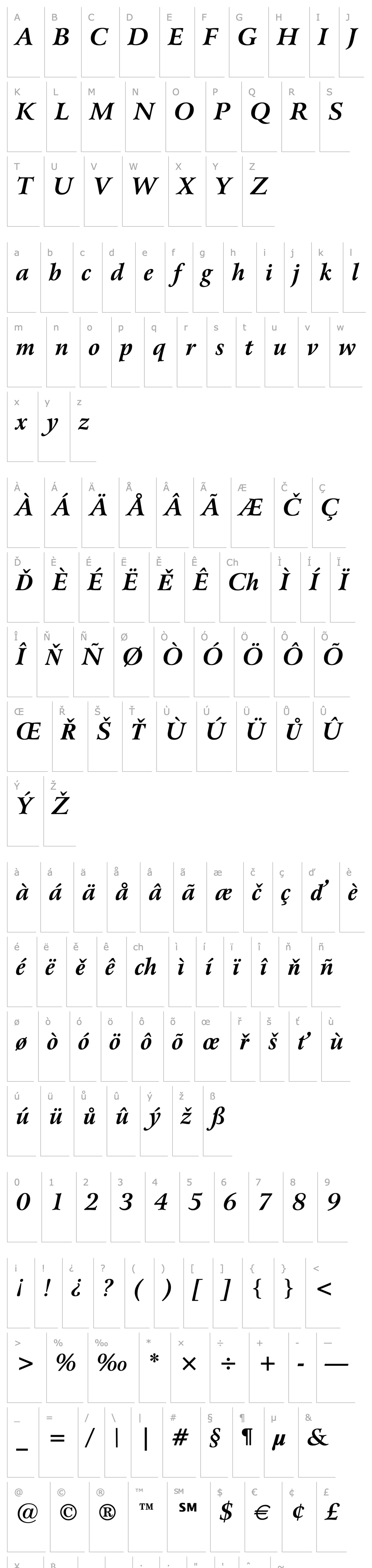 Přehled Bitstream Arrus Bold Italic BT