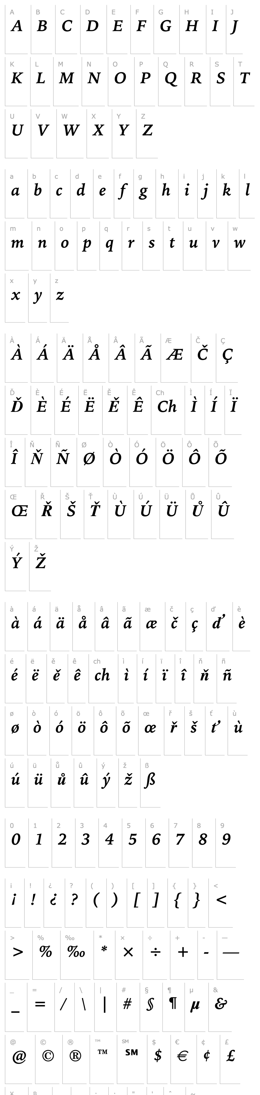 Overview Bitstream Iowan Old Style Bold Italic BT