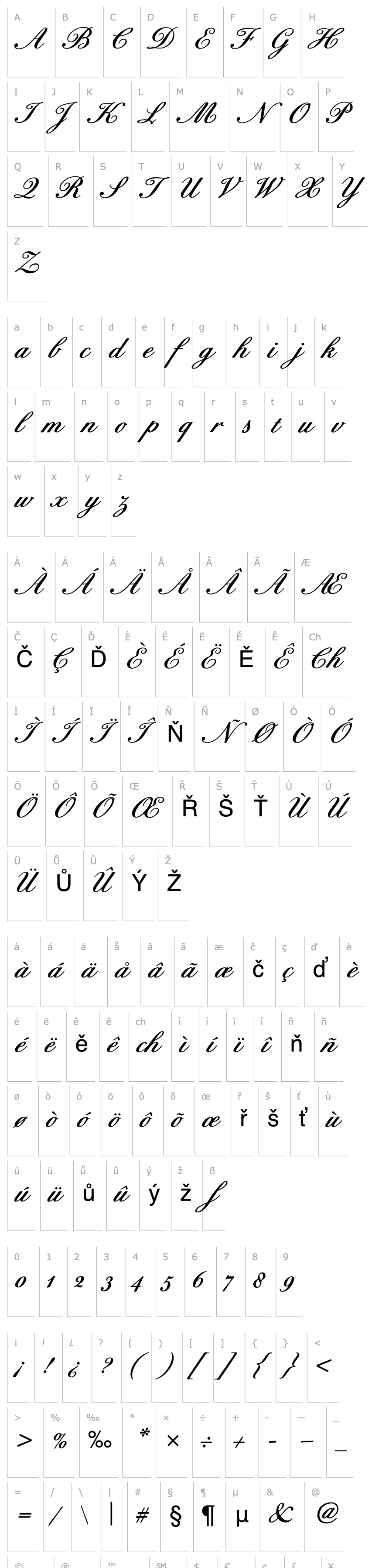 Overview BixAntiqueScriptHmkBold