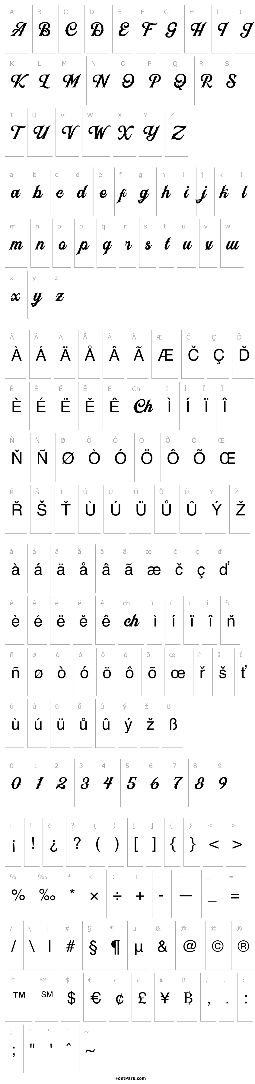 Overview Black Jack Script