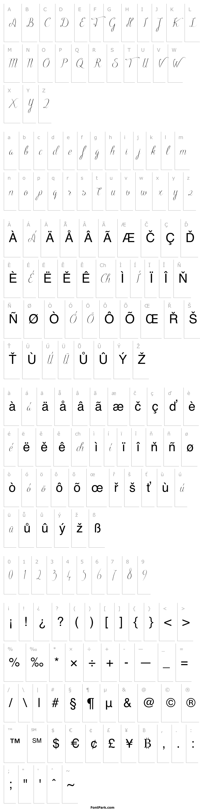 Přehled Black Olives