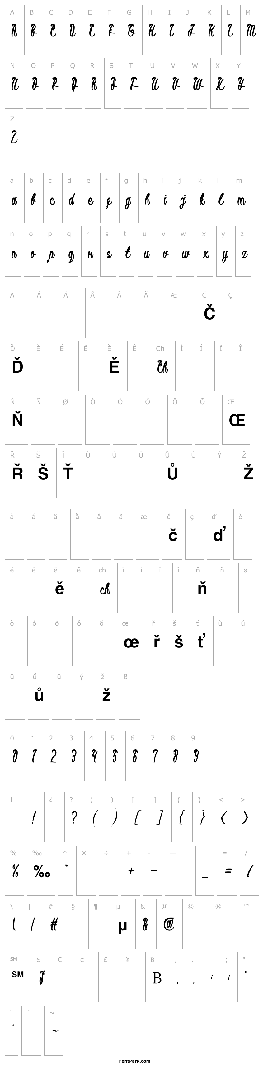 Přehled Black Stallion Bold