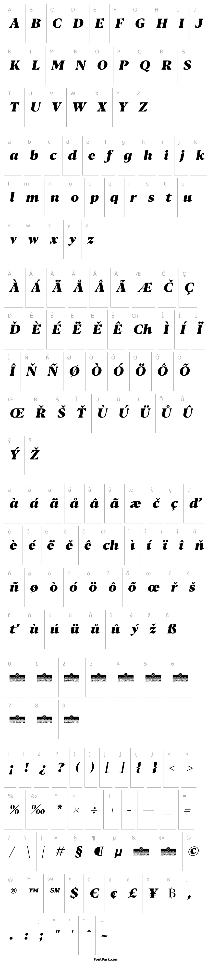 Přehled Blacker Text Heavy Italic