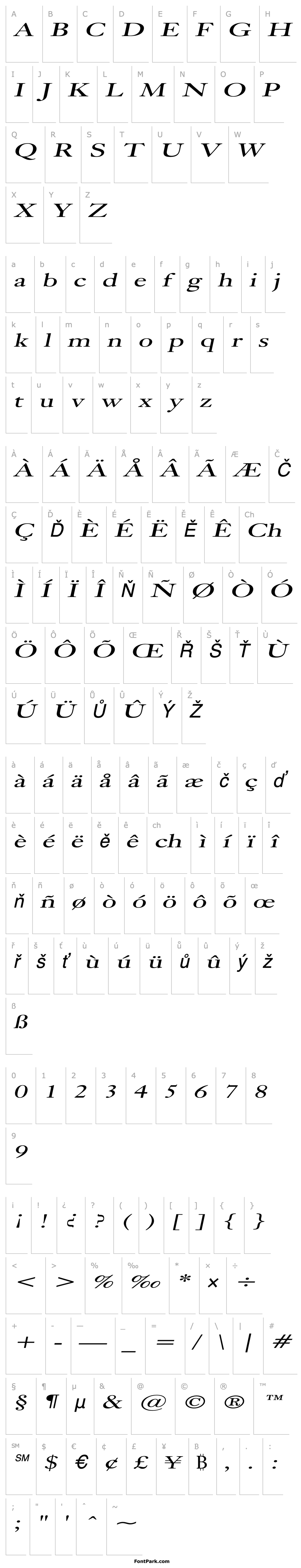 Overview Bliss Extended Italic