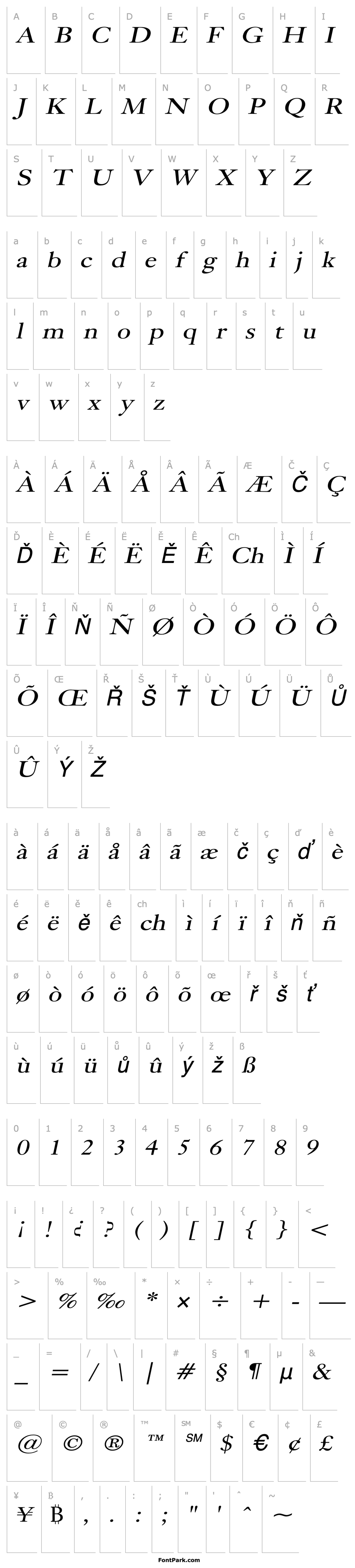 Overview Bliss Wide Italic