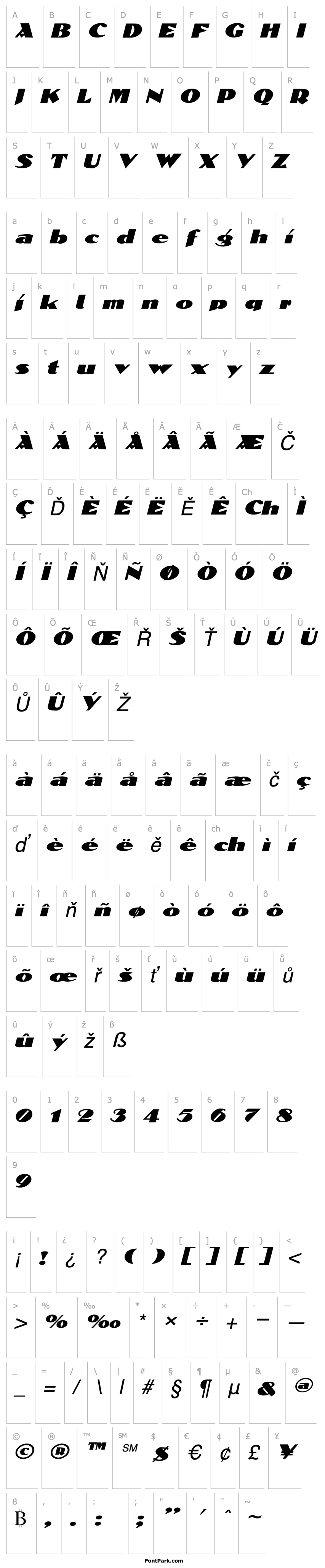 Overview Block-Calligraphy-Extended Italic