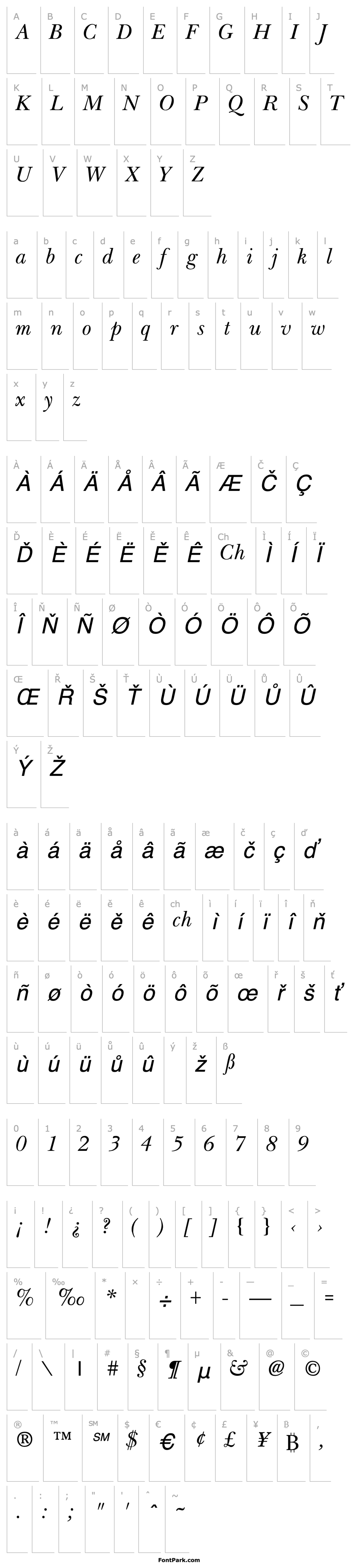 Overview Bloodhound Lite Italic