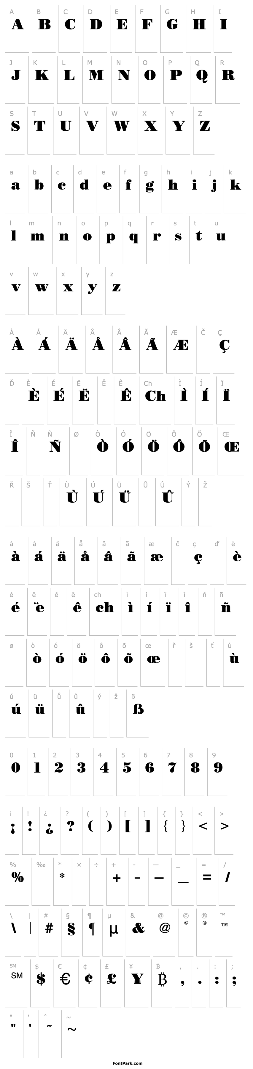 Overview BODIDLYbold