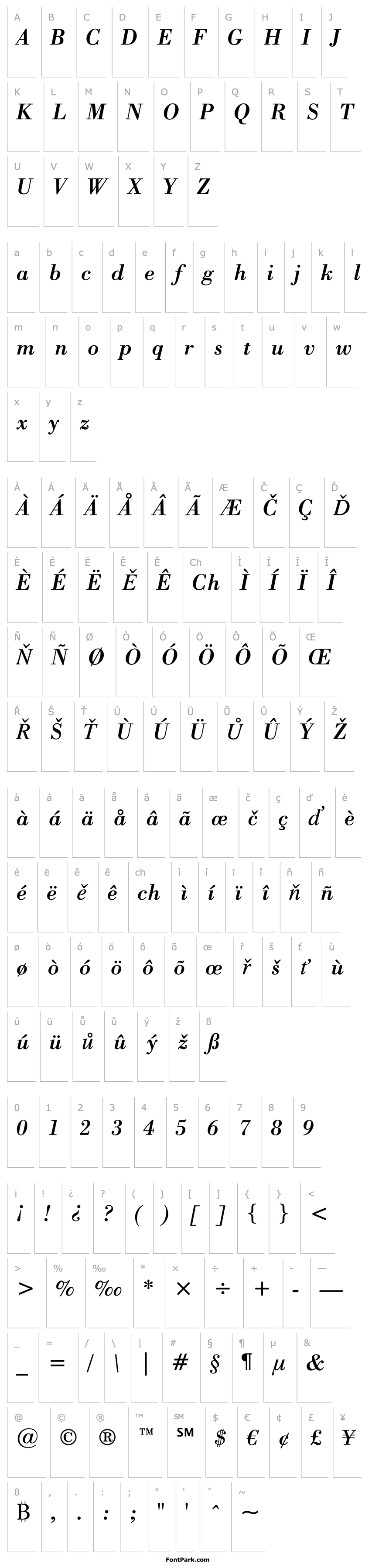 Přehled Bodoni BT Italic