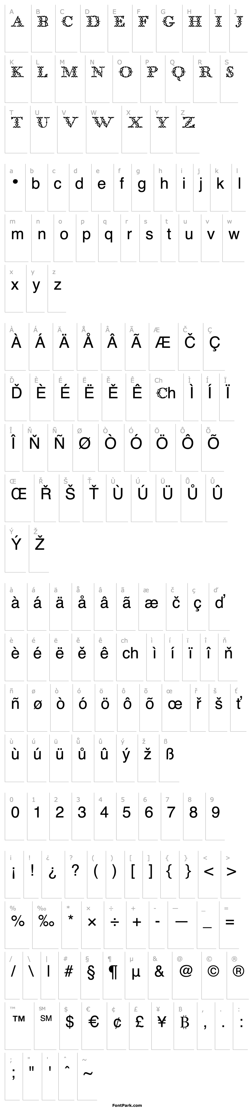 Overview Bodoni Classic Floral Initials PDF