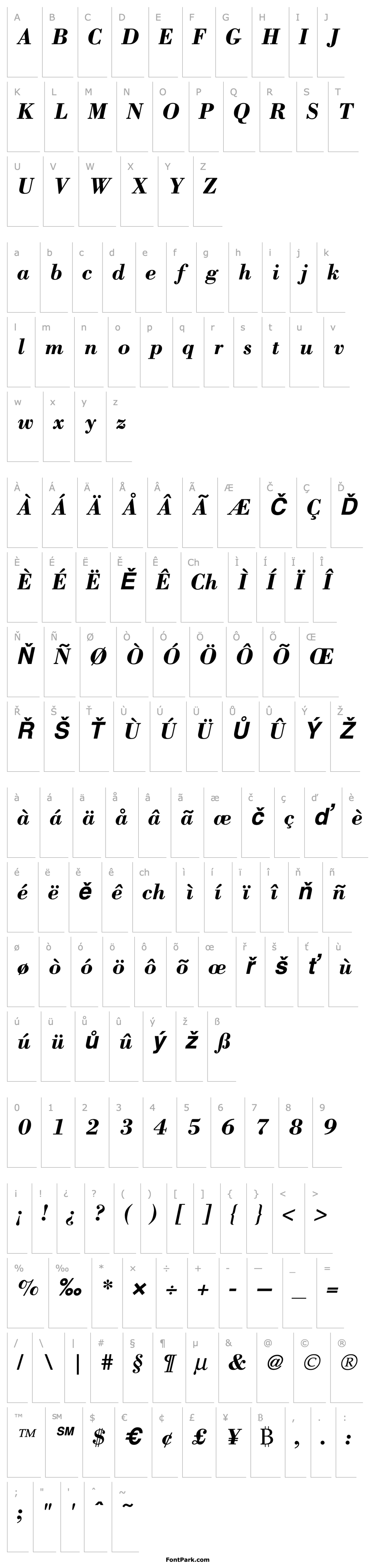 Overview Bodoni ICG BoldItalic