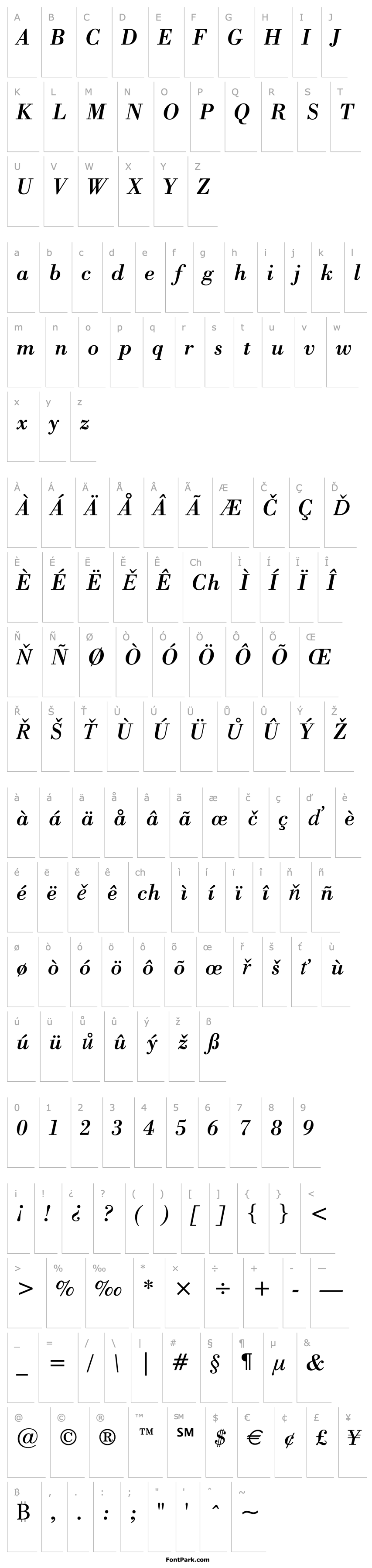 Overview Bodoni Italic BT