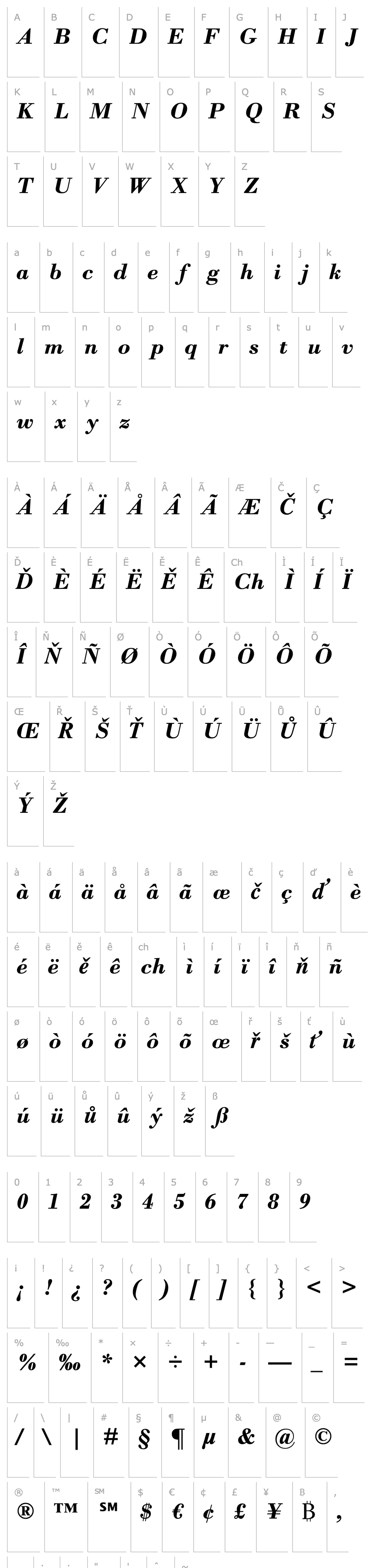 Overview Bodoni MT Bold Italic