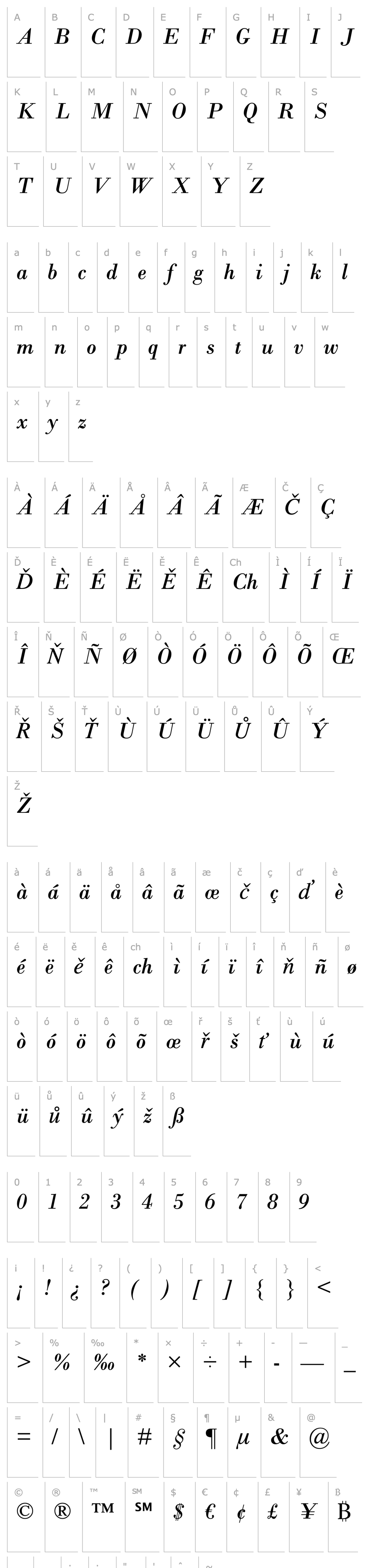 Přehled Bodoni MT Italic