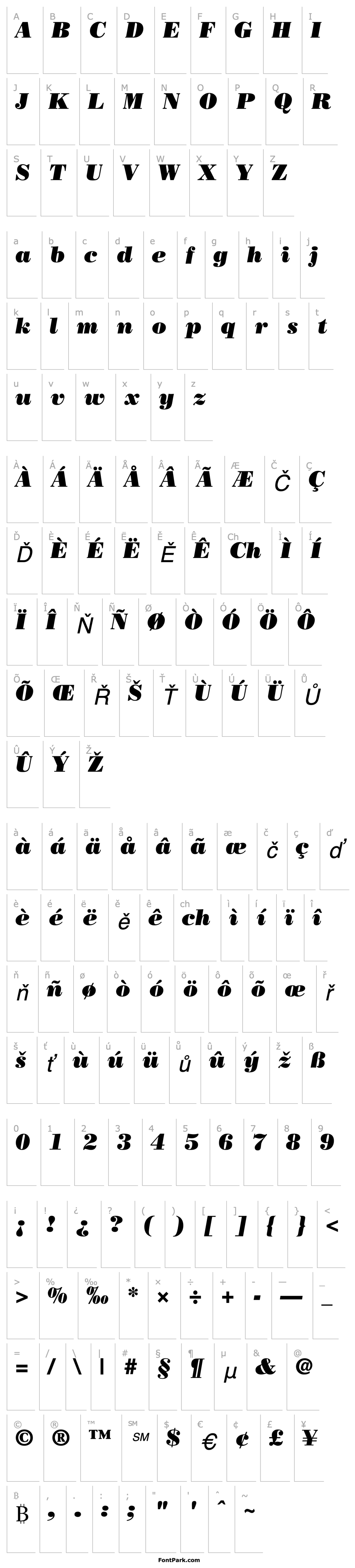 Overview Bodoni Poster SSi Poster Italic