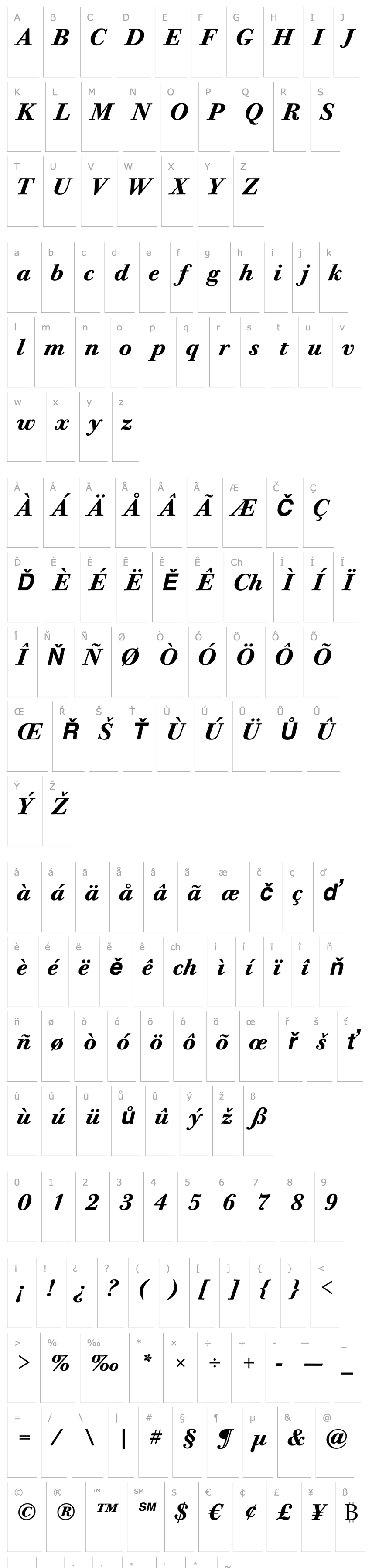 Overview Bodoni Twelve ITC Bold Italic