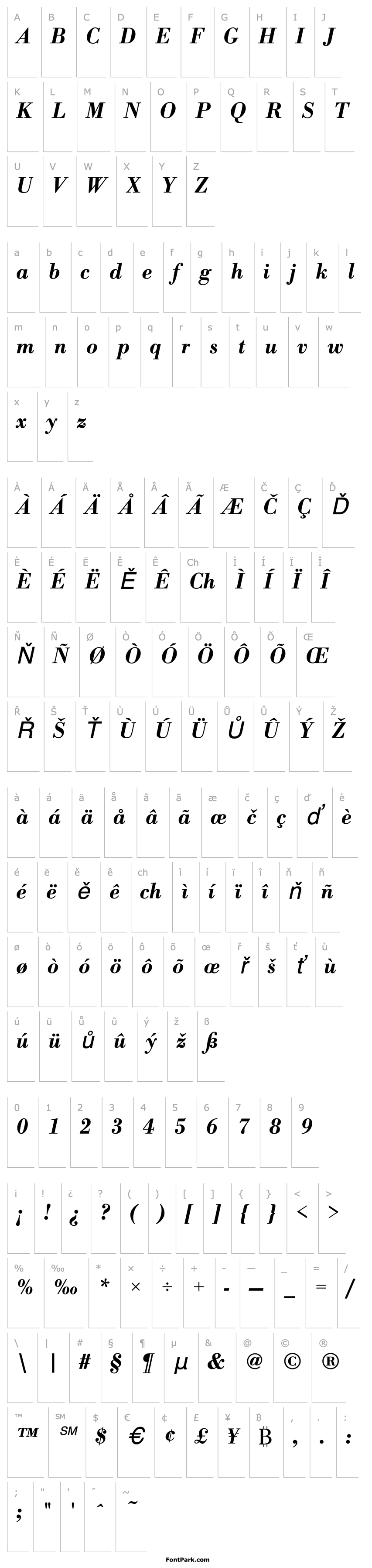 Overview BodoniAntTDemBol Italic