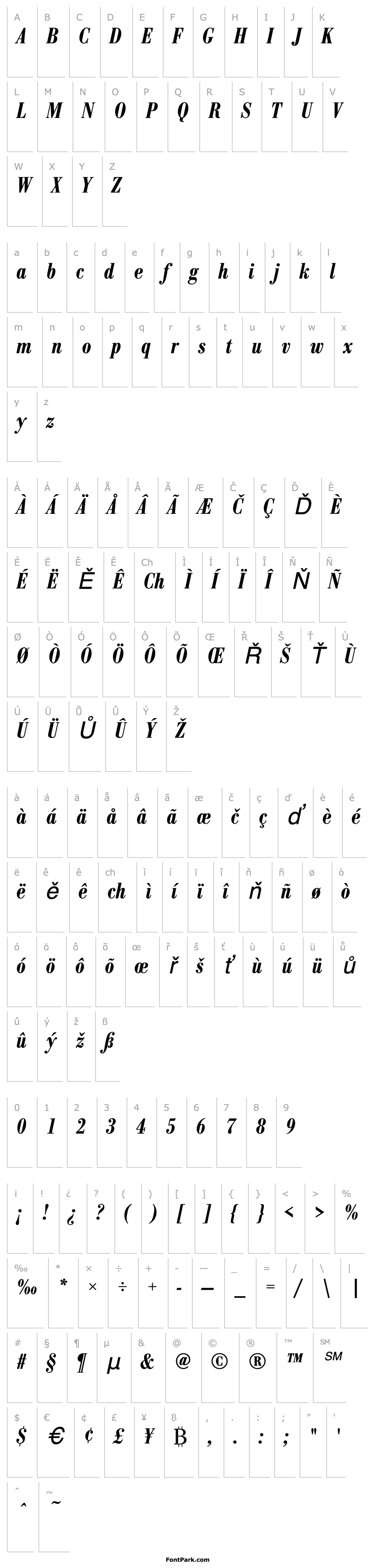 Přehled BodoniAntTDemBolCon Italic