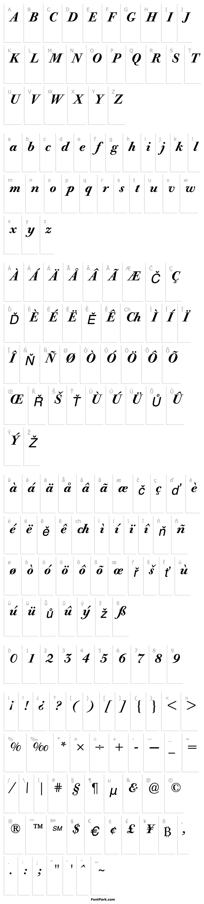 Přehled BodoniOldFaceBE-Medium Italic