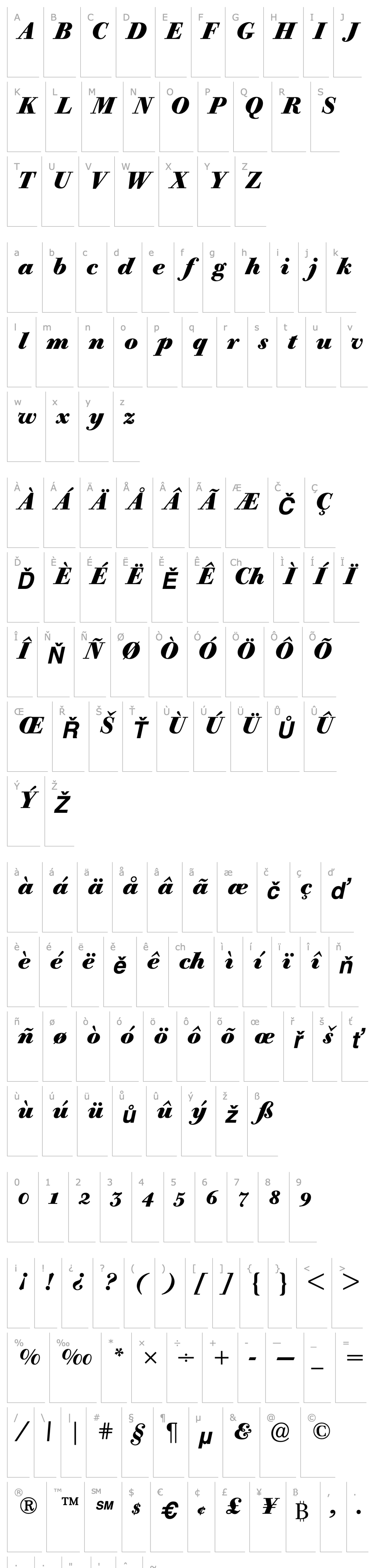 Přehled BodoniOldFaceBEOldstyleFigures-Bold Italic