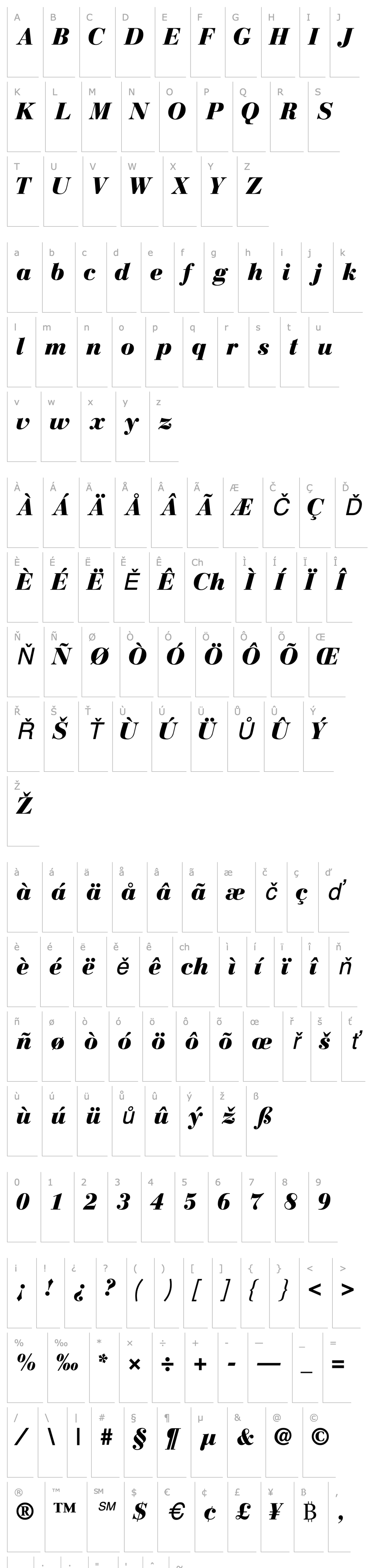 Přehled BodoniRecutBlackSSK Italic