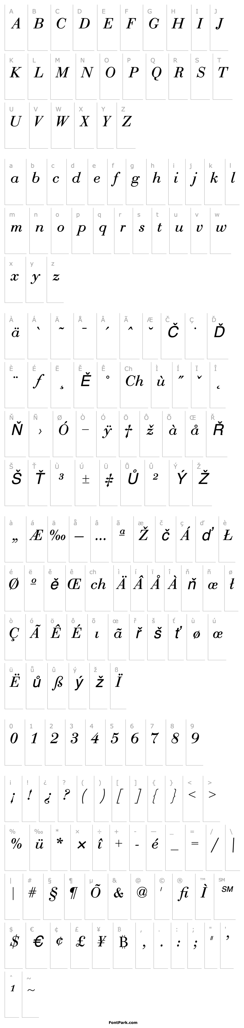 Přehled BodoniRecutCondSSK Italic