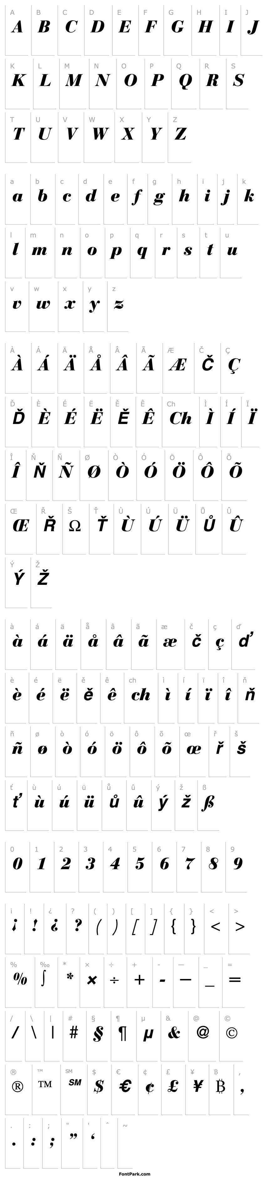 Přehled BodoniRecutHeavy-RegularItalic