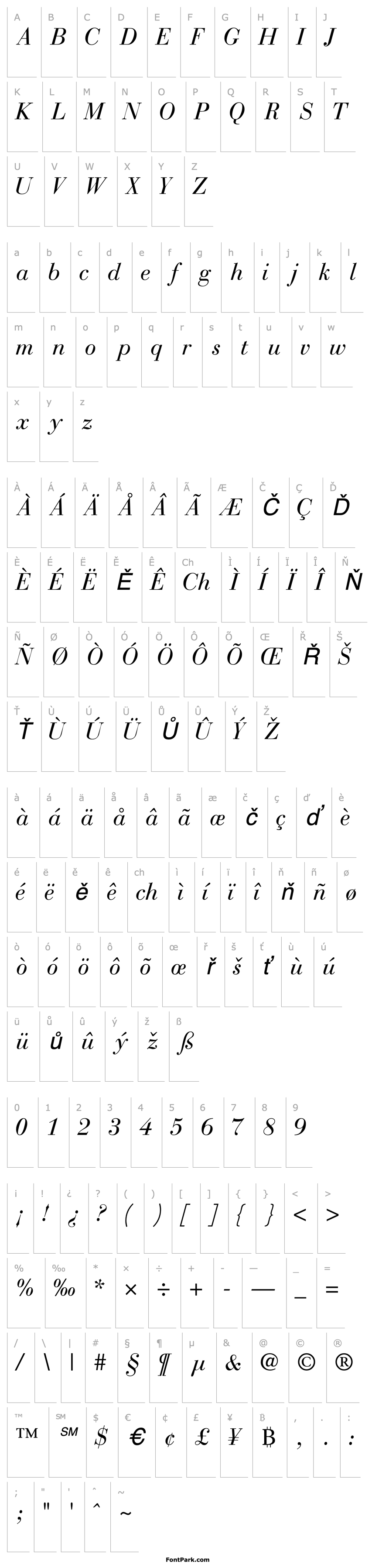 Přehled BodoniRecutSSK Italic