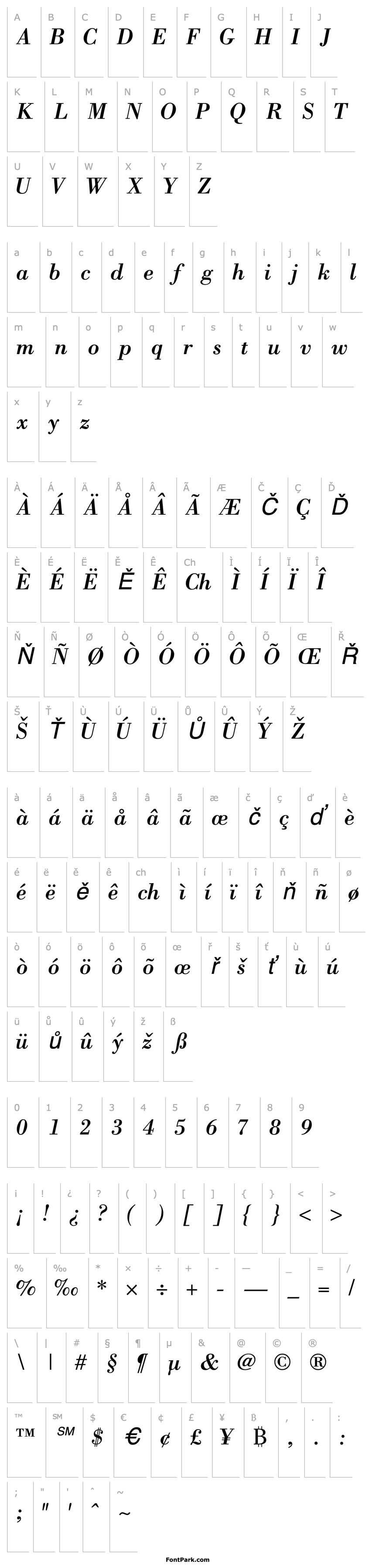 Přehled BodoniSSK Italic