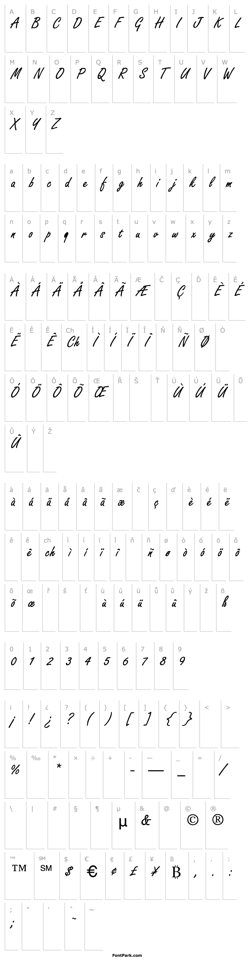 Overview Boldstylescript