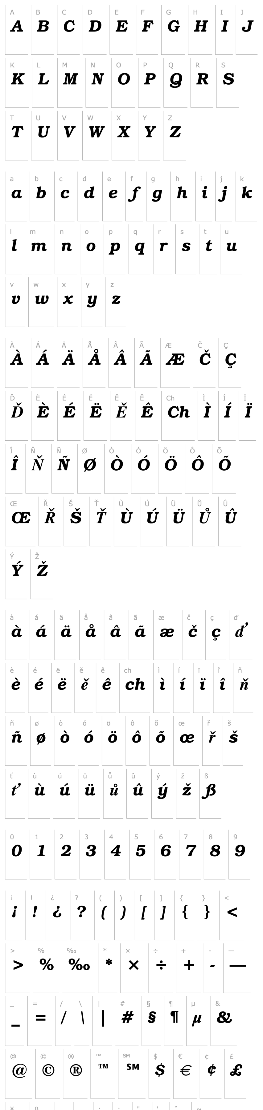 Overview Bookman ITC Demi Italic BT